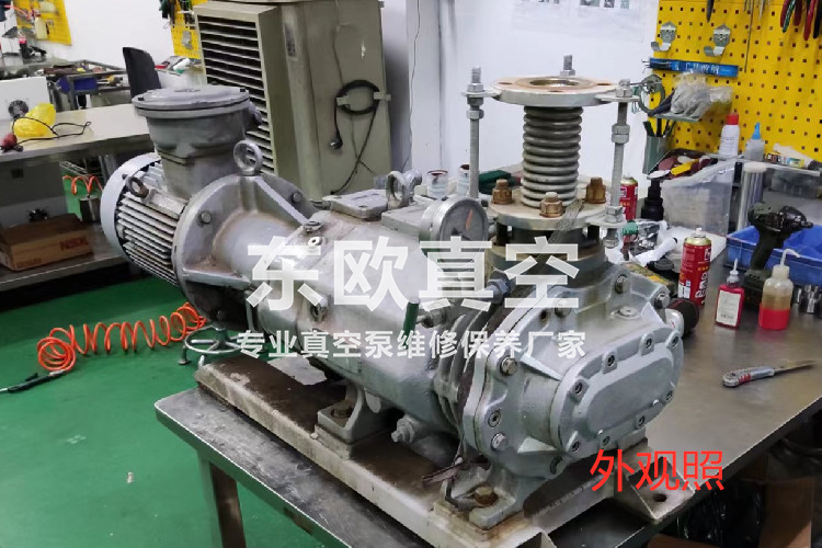 爱德华DKPH320真空泵维修-轴承滚珠脱落、轴承发黑、腔体涂层全损